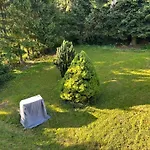 Am